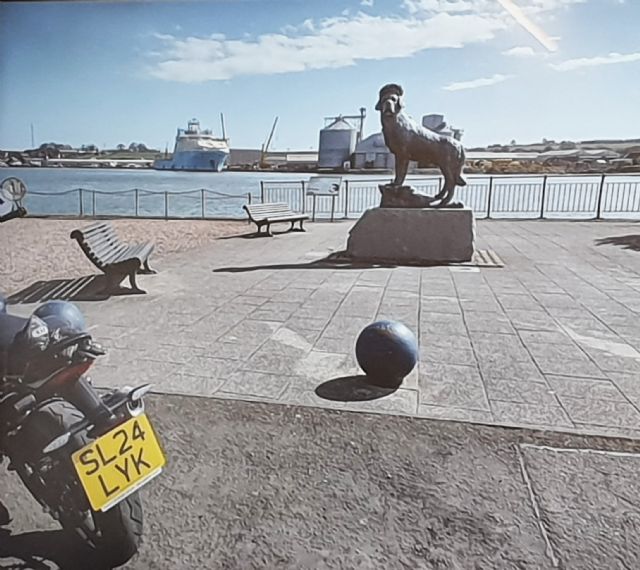 Bamse Memorial Montrose Bamse Memorial Montrose
